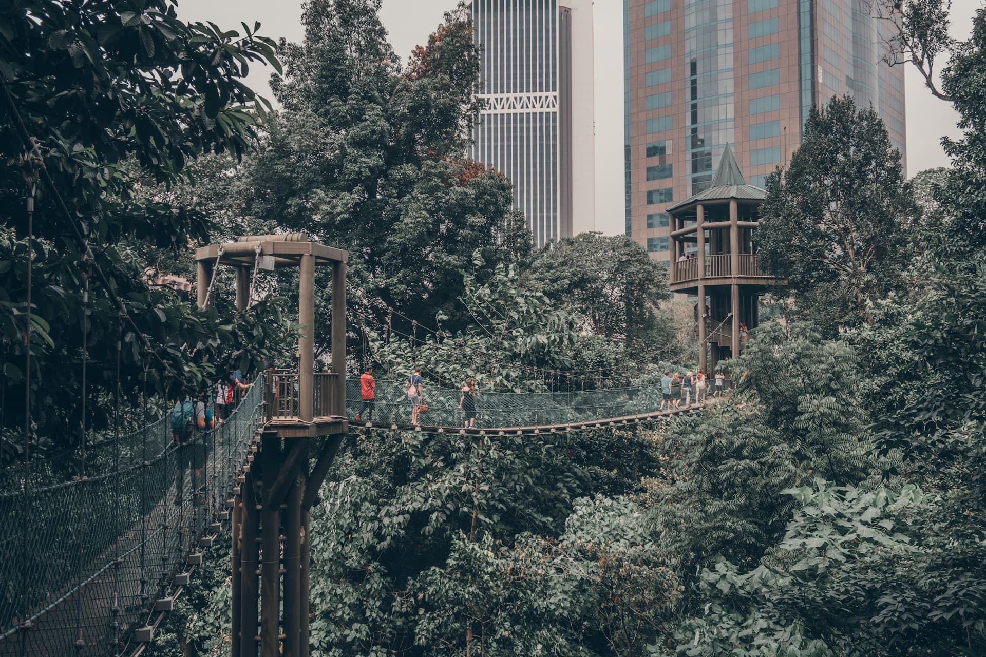 KL Forest Eco Park- A Green Getaway Beneath KL’s Skyscrapers