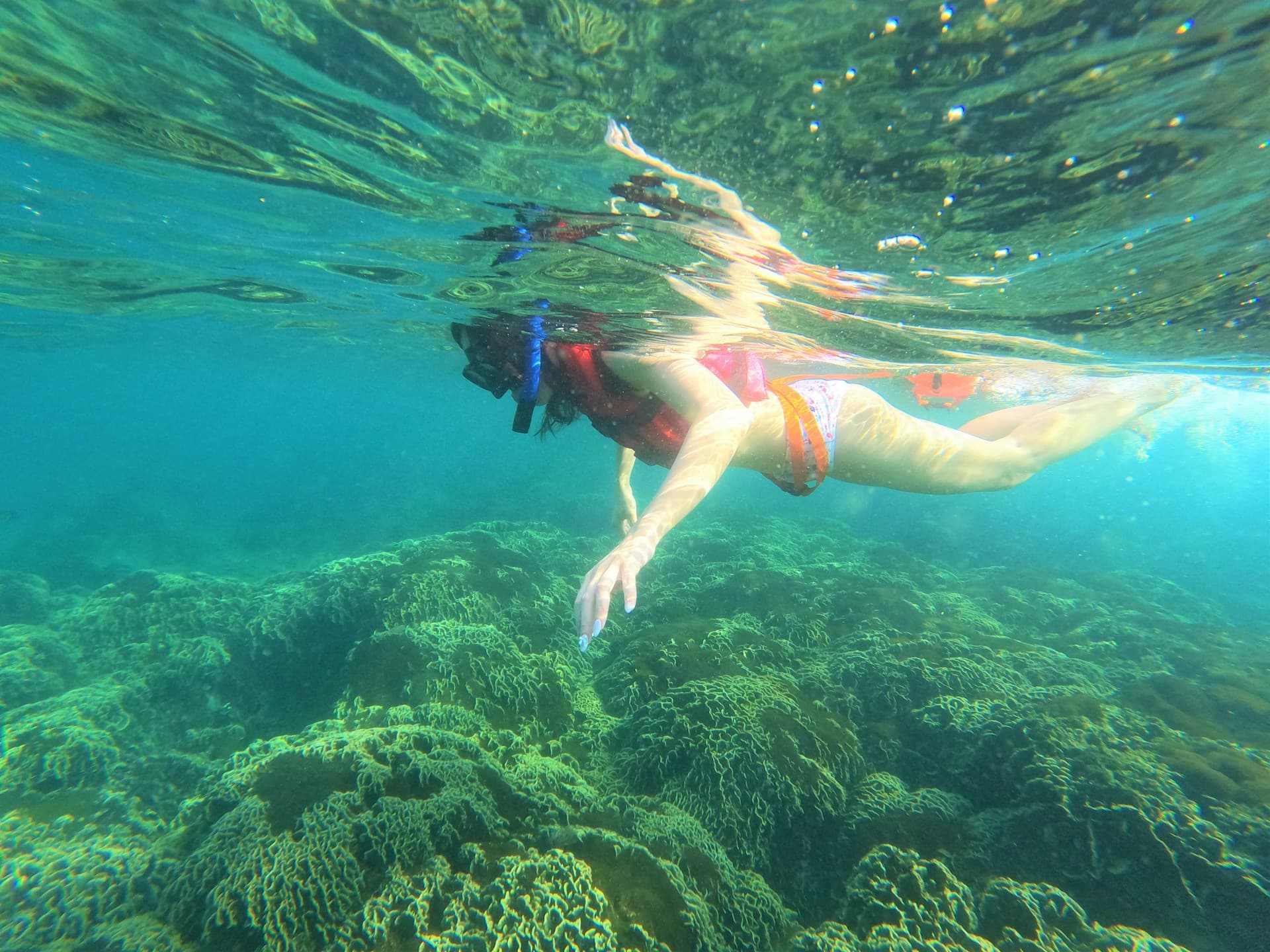 Snorkeling
