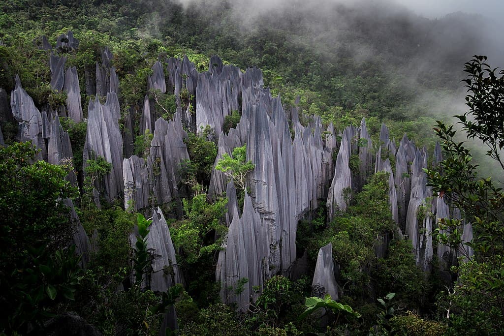 Explore Earth’s Hidden Wonders at Gunung Mulu