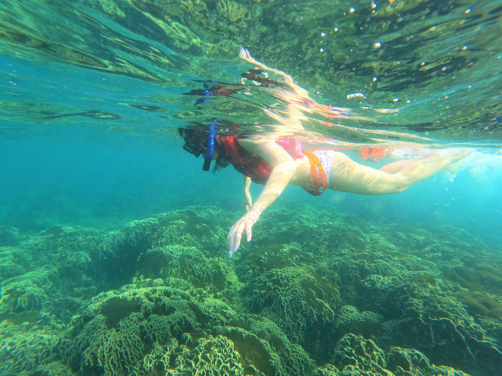 Snorkeling